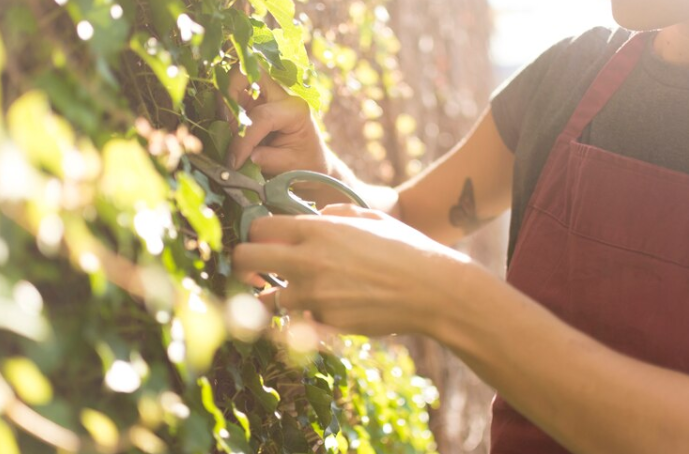 Conoce los vinos orgánicos, naturales y biodinámicos