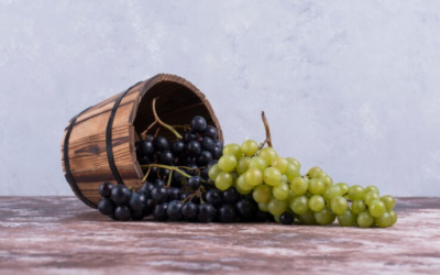 El arte de pisar uvas: ¿por qué es crucial en la producción de vino?