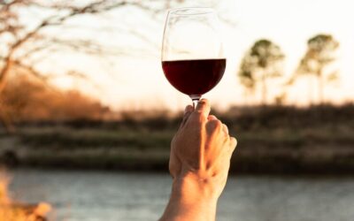 Conoce el vino de autor, un emblema en la cultura