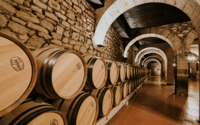 El arte de las barricas: Cómo transforman el vino y sus beneficios ecológicos