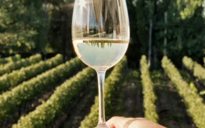 Del viñedo a tu copa: cómo nace el sabor único de Diamante