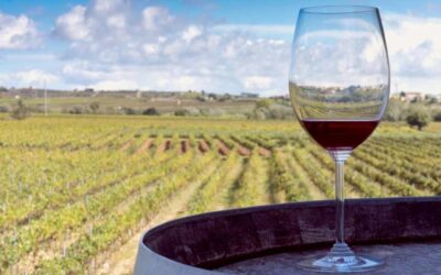 ¿Cuál es la diferencia entre un vino joven, crianza y reserva?
