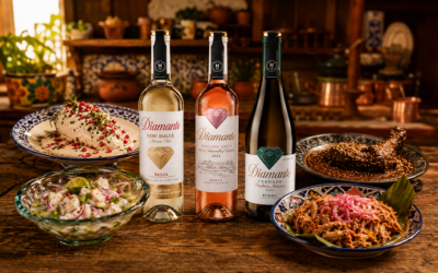 Vino para comida mexicana. ¿Cuál elegir para un maridaje?