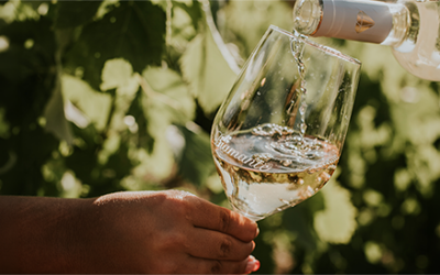 ¿Cómo elegir un vino para boda? 5 consejos prácticos
